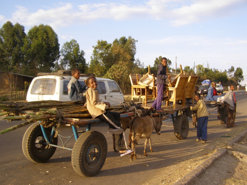 Новогоднее путешествие в Эфиопию      Часть 2